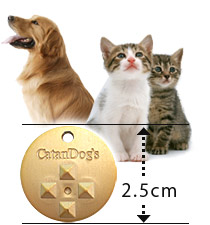 ���˷ڤ��ƾ�������ľ�¤Ϥ鷺��2.5cm�Ǥ�